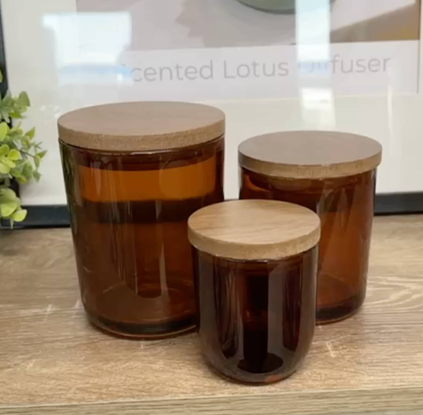 Dark Oak Wooden Lids - Medium