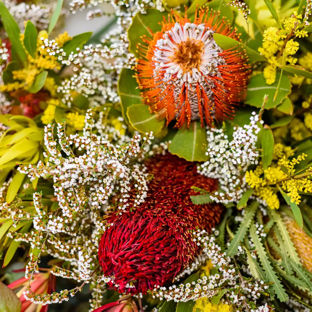 Australian Florals & Honey Fragrance Oil | Luxaroma