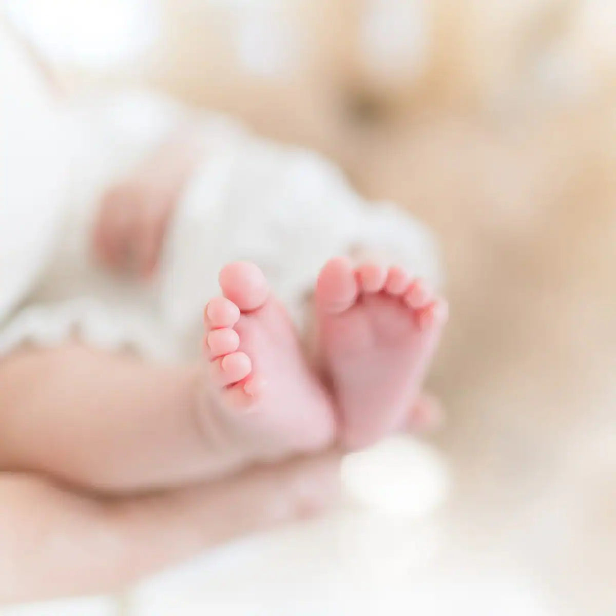 Baby Powder Fragrance Oil | Luxaroma