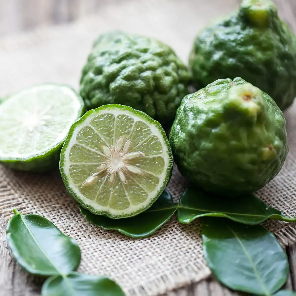 Bergamot & Patchouli Fragrance Oil | Luxaroma