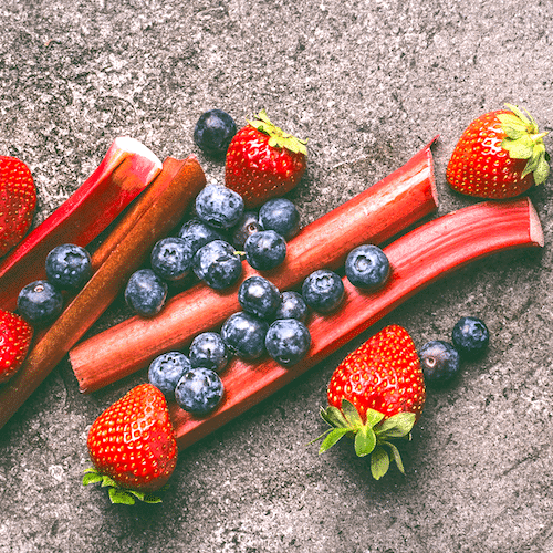 Black Plum & Rhubard Web