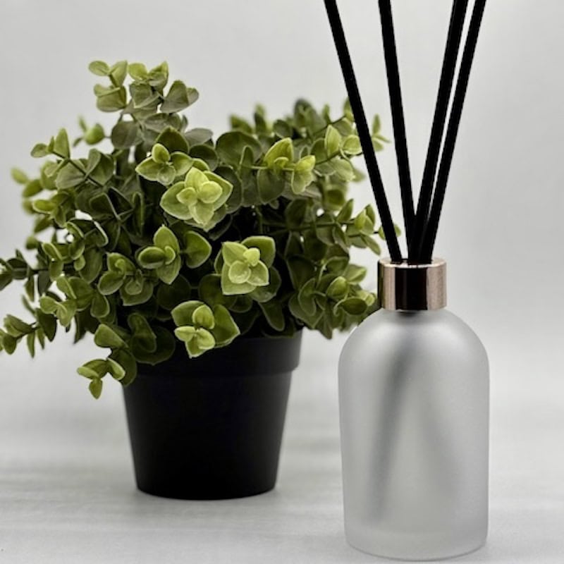 Boston Diffuser Bottle 200ml- Frosted