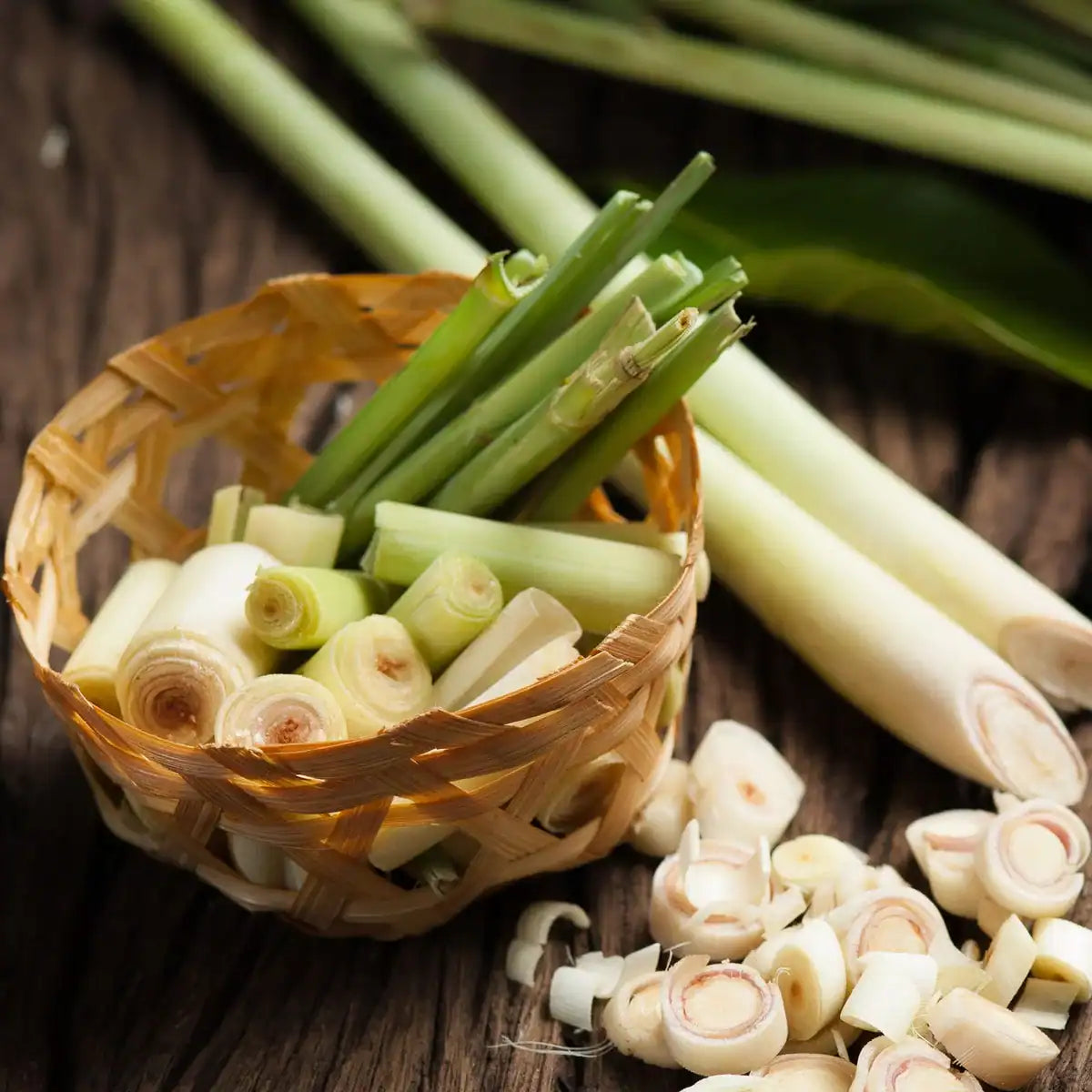 Lemongrass Fragrance Oil | Luxaroma