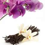 Sweet Pea and Vanilla Fragrance Oil