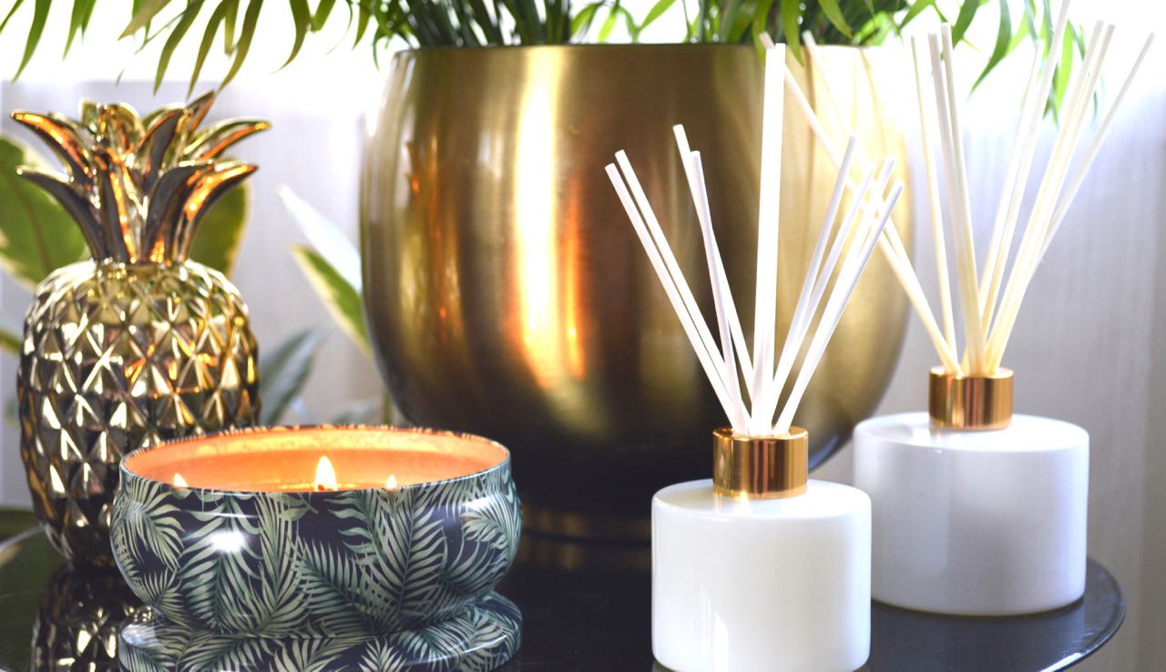 Decorative Tin - Embossed Tropical Palm Large