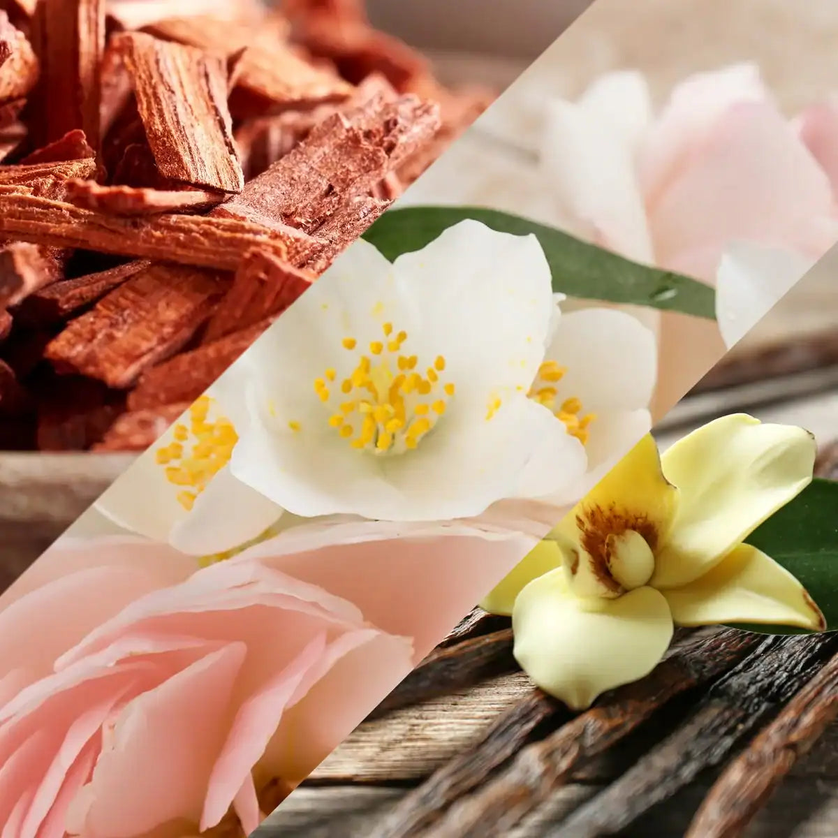 Vanilla Patchouli & Sandalwood Fragrance Oil | Luxaroma