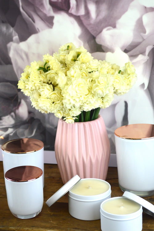 white republic plastic lid