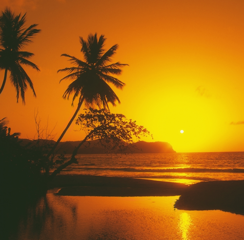 Caribbean Sunset Fragrance Oil
