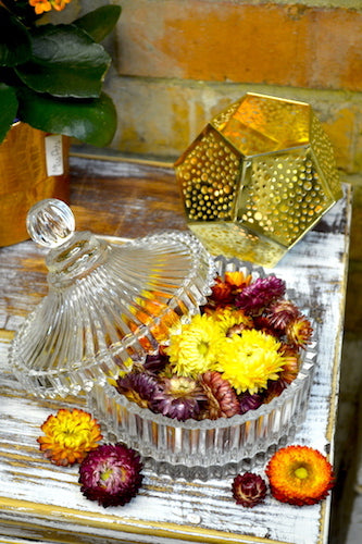 Ribbed Carousel Clear Glass Jar Medium