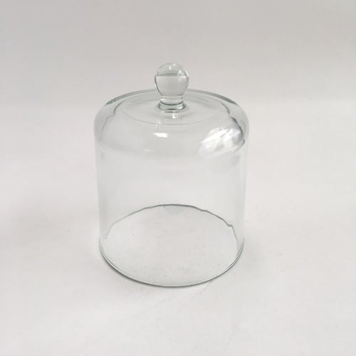 Dome Glass Cloche Medium