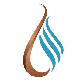 Stainless Steel Shiny Gold Lid - Small