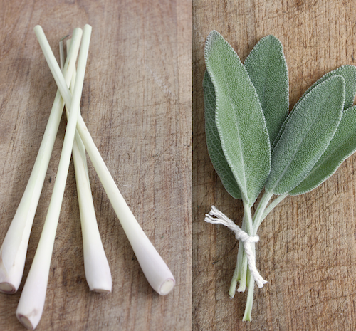 Lemongrass & Sage Fragrance Oil