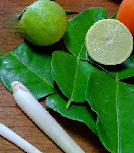 Lemongrass & Persian Lime Fragrance Oil - Luxaroma