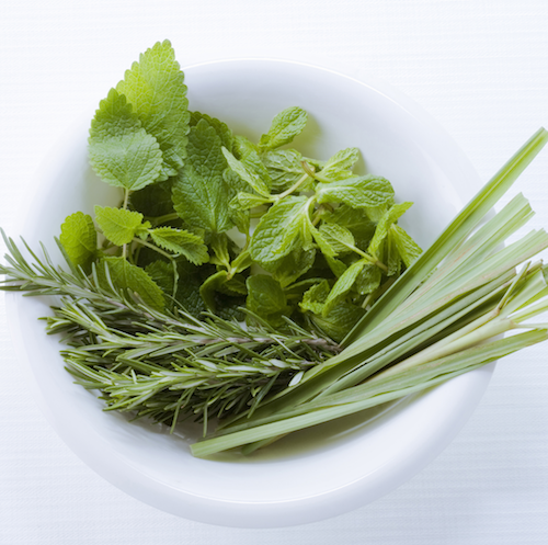 Sage Leaf & Mint Fragrance Oil (On Runout)