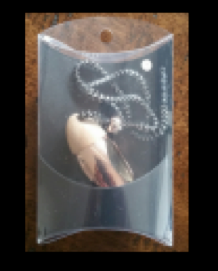 Hanging Diffuser Pillow Gift Box with White insert