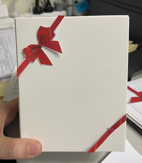 two piece bow and ribbon mock up 2