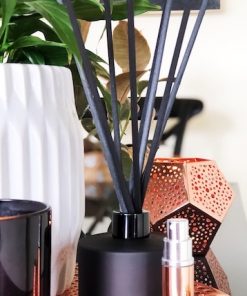 Scented Diffuser Starter Pack