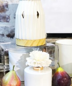 Alternative view of Carnation Reed Diffuser Flower