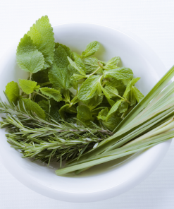 Sage Leaf & Mint Fragrance Oil (On Runout)