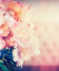 Peony & Blush Suede Style Fragrance Oil