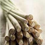 Lemongrass Fragrance Oil