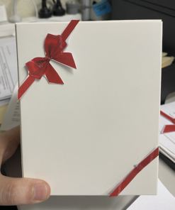 two piece bow and ribbon mock up 2