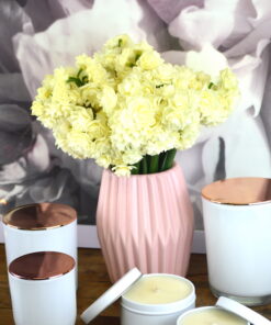 white republic plastic lid