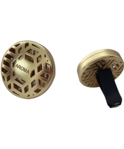 car diffuser clip gold