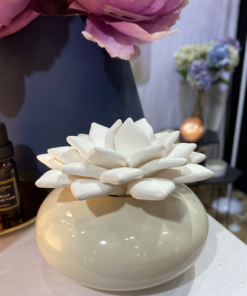 lotus with white ceramic base 500 2