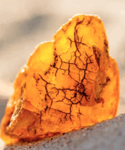 Baltic Amber Driftwood Candle Fragrance