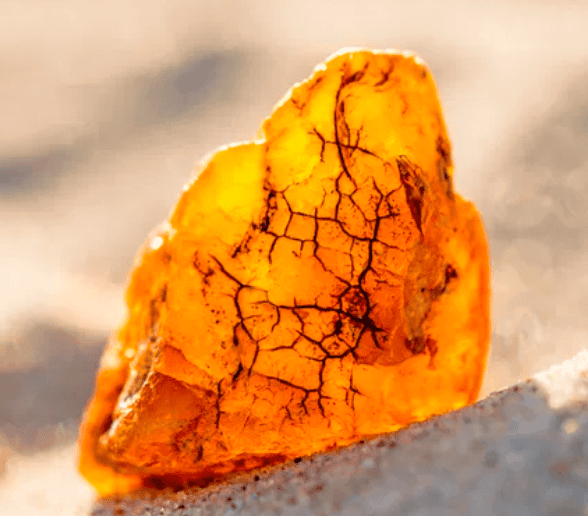 Baltic Amber Driftwood Candle Fragrance