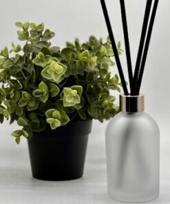 Boston Diffuser Bottle 200ml- Frosted