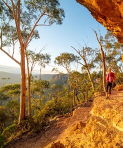 Australian Bush Fragrance Oil | Luxaroma