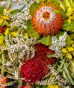 Australian Florals & Honey Fragrance Oil | Luxaroma