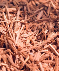Australian Sandalwood Fragrance Oil | Luxaroma