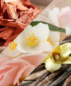 Vanilla Patchouli & Sandalwood Fragrance Oil | Luxaroma